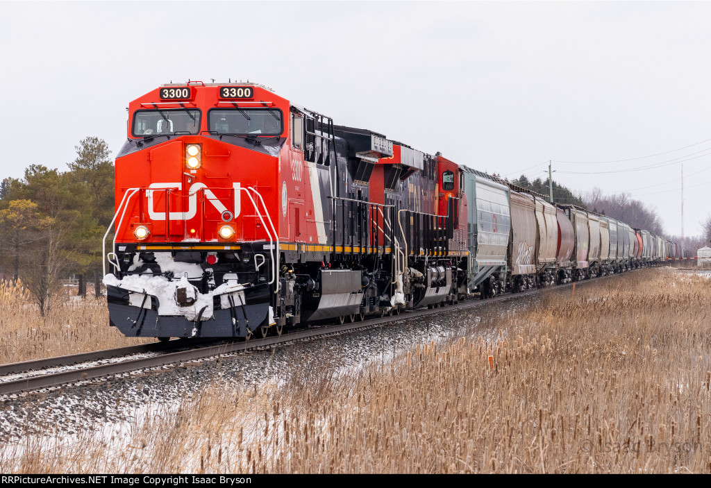 CN 3300